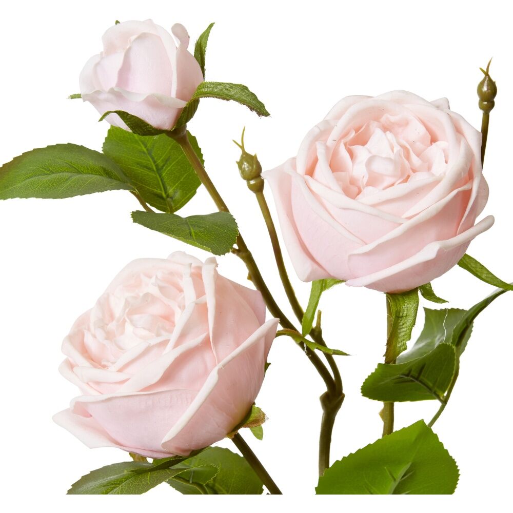 2PK E Style Rose Austin Spray Elegant Artificial Flower Soft Pink 24x16x78cm