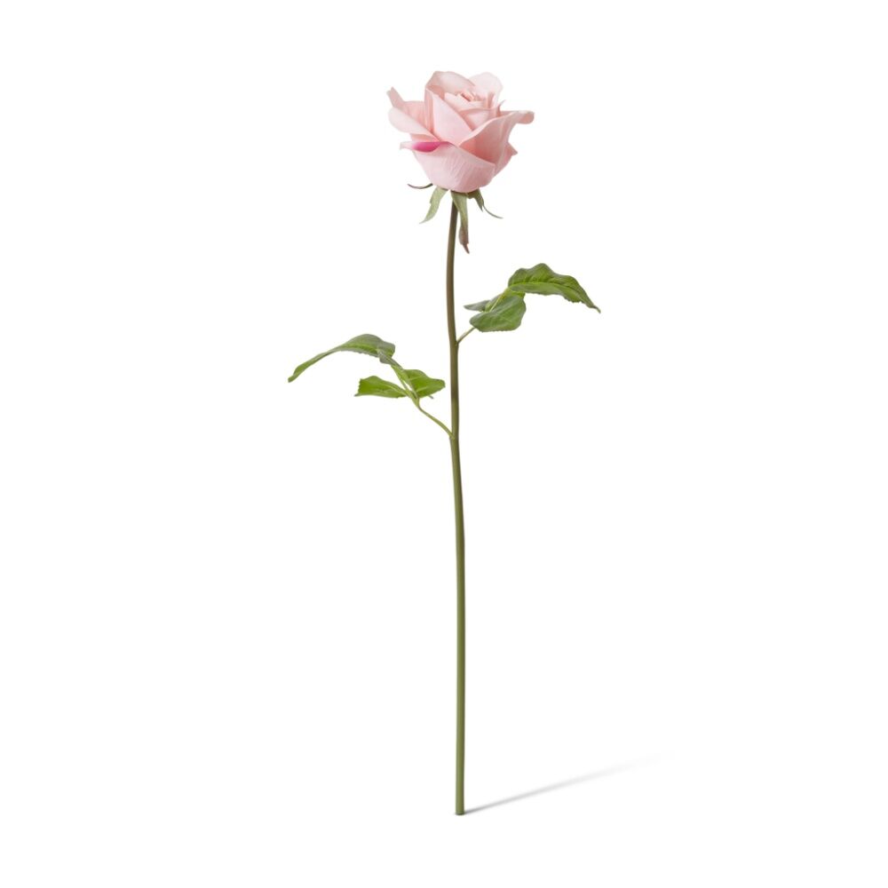 12PK E Style Rose Classic Short Stem Artificial Flower Pink 14x12x45cm