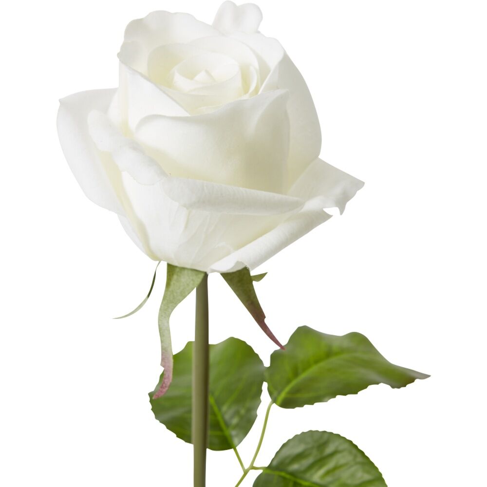 12PK E Style Rose Classic Short Stem Artificial Flower White 14x12x45cm