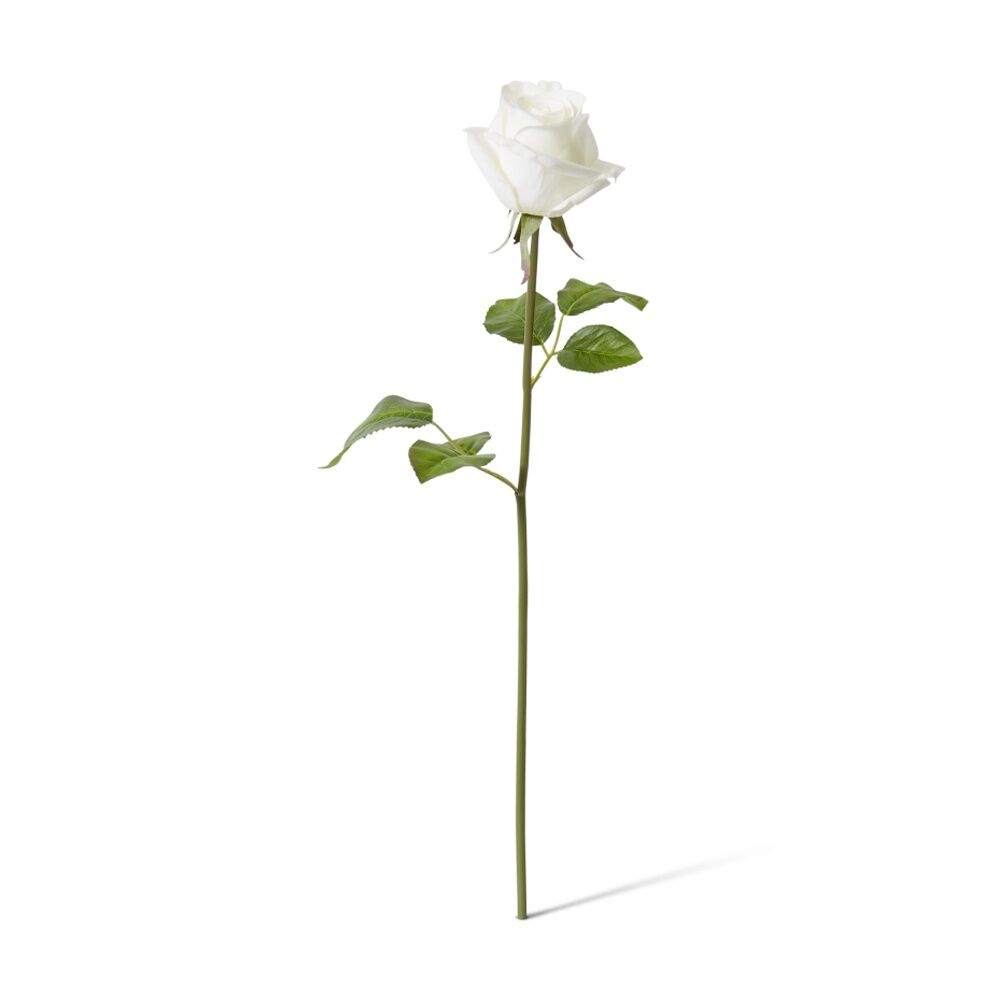 12PK E Style Rose Classic Short Stem Artificial Flower White 14x12x45cm