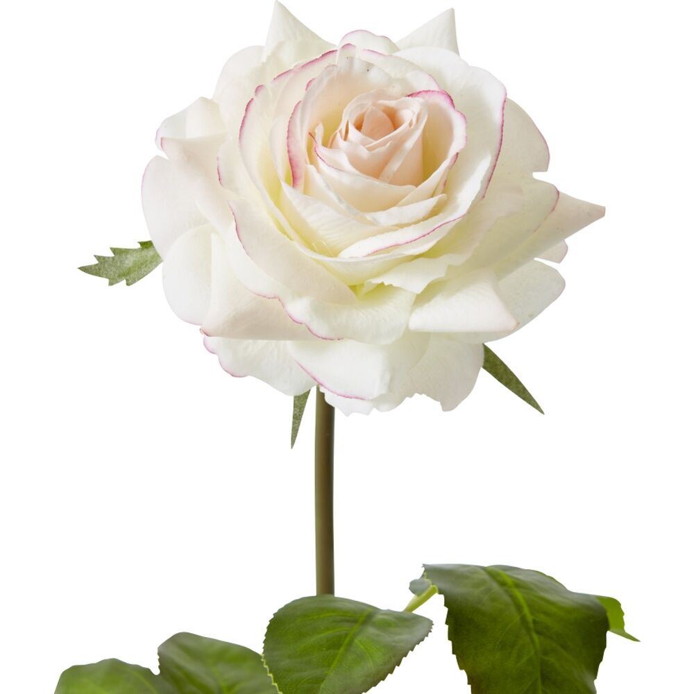 6PK E Style Rose Rambler Short Stem Artificial Flower Pink Cream 14x12x45cm