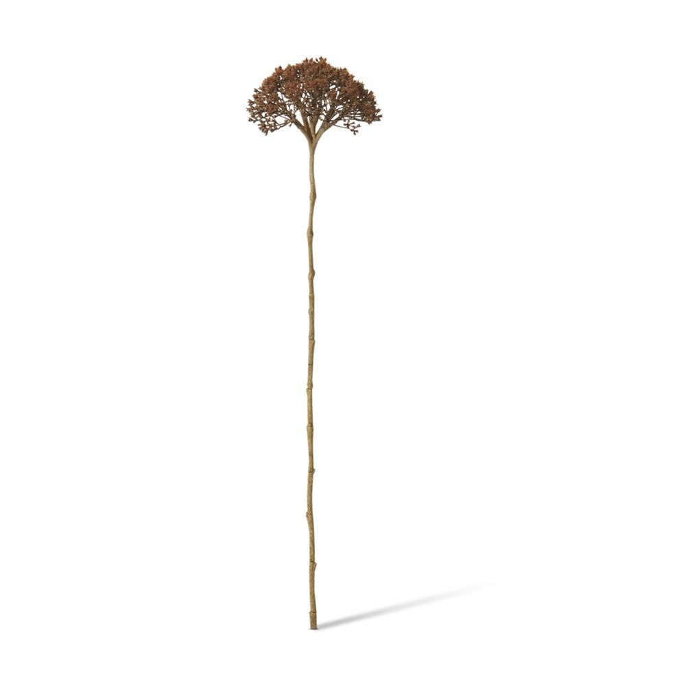 3PK E Style Queen Ann Lace Stem Artificial Flower Decoration Brown 12x11x53cm