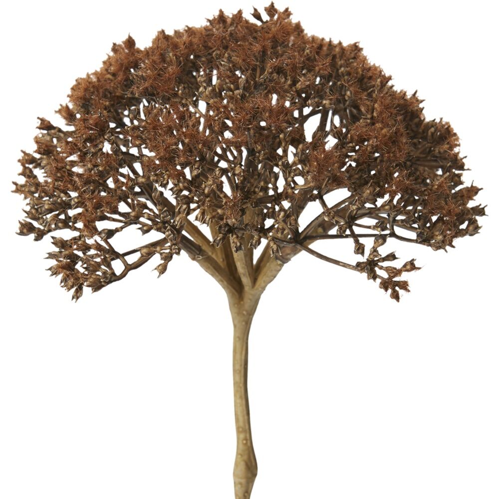 3PK E Style Queen Ann Lace Stem Artificial Flower Decoration Brown 12x11x53cm
