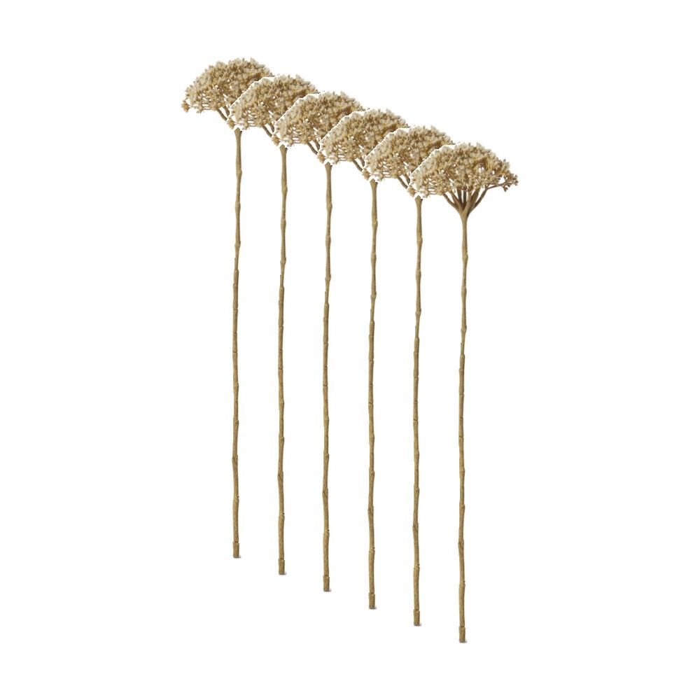 6PK E Style Queen Ann Lace Stem Artificial Flower Light Brown 12x11x53cm