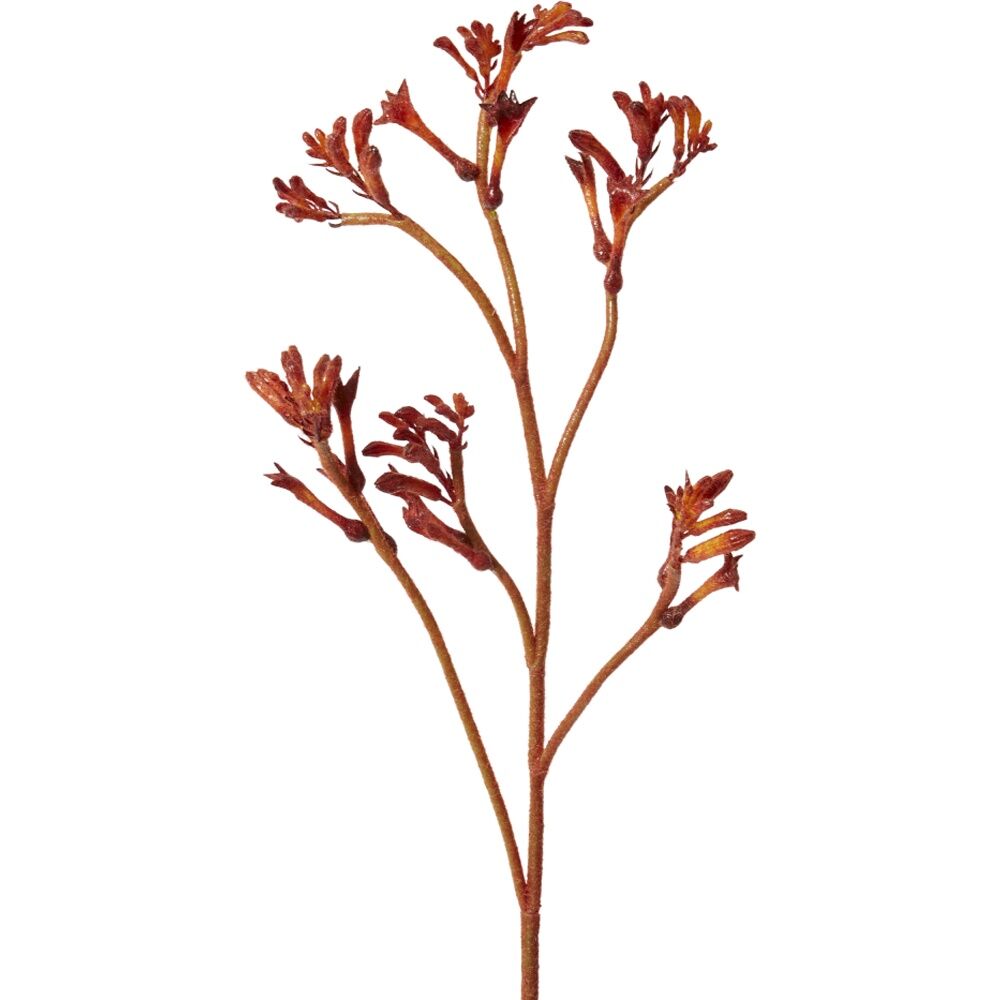 2PK E Style Kangaroo Paw Spray Artificial Flower Stem Burgundy 26x9x78cm