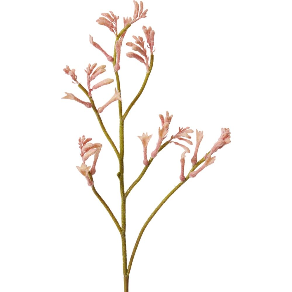 4PK E Style Kangaroo Paw Spray Artificial Plant Flower Stem Pink 26x9x78cm