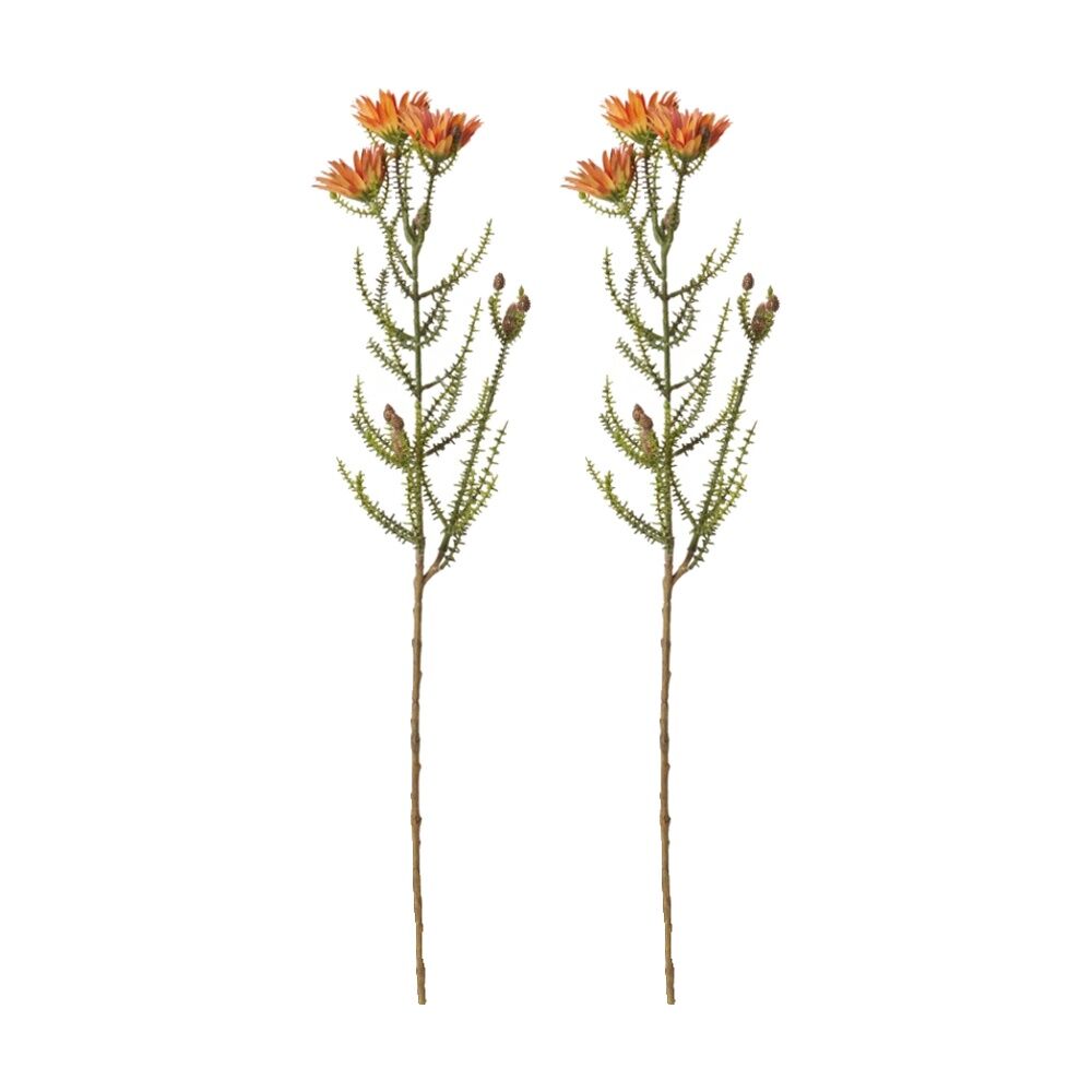 2PK E Style Kaaps Flower Spray Artificial Plant Stem Orange 12x14x61cm