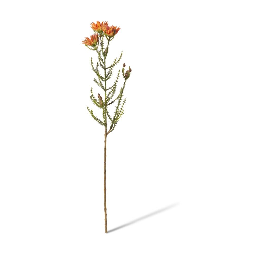 2PK E Style Kaaps Flower Spray Artificial Plant Stem Orange 12x14x61cm