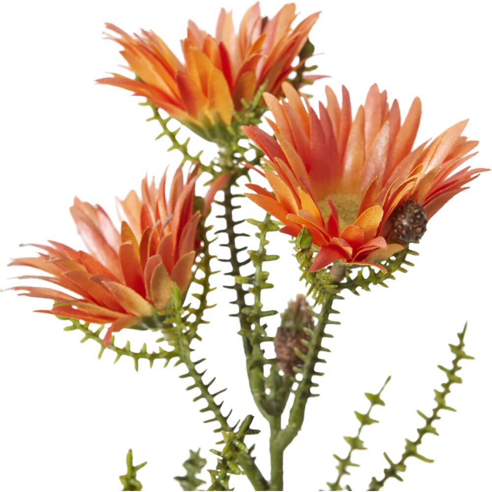 2PK E Style Kaaps Flower Spray Artificial Plant Stem Orange 12x14x61cm