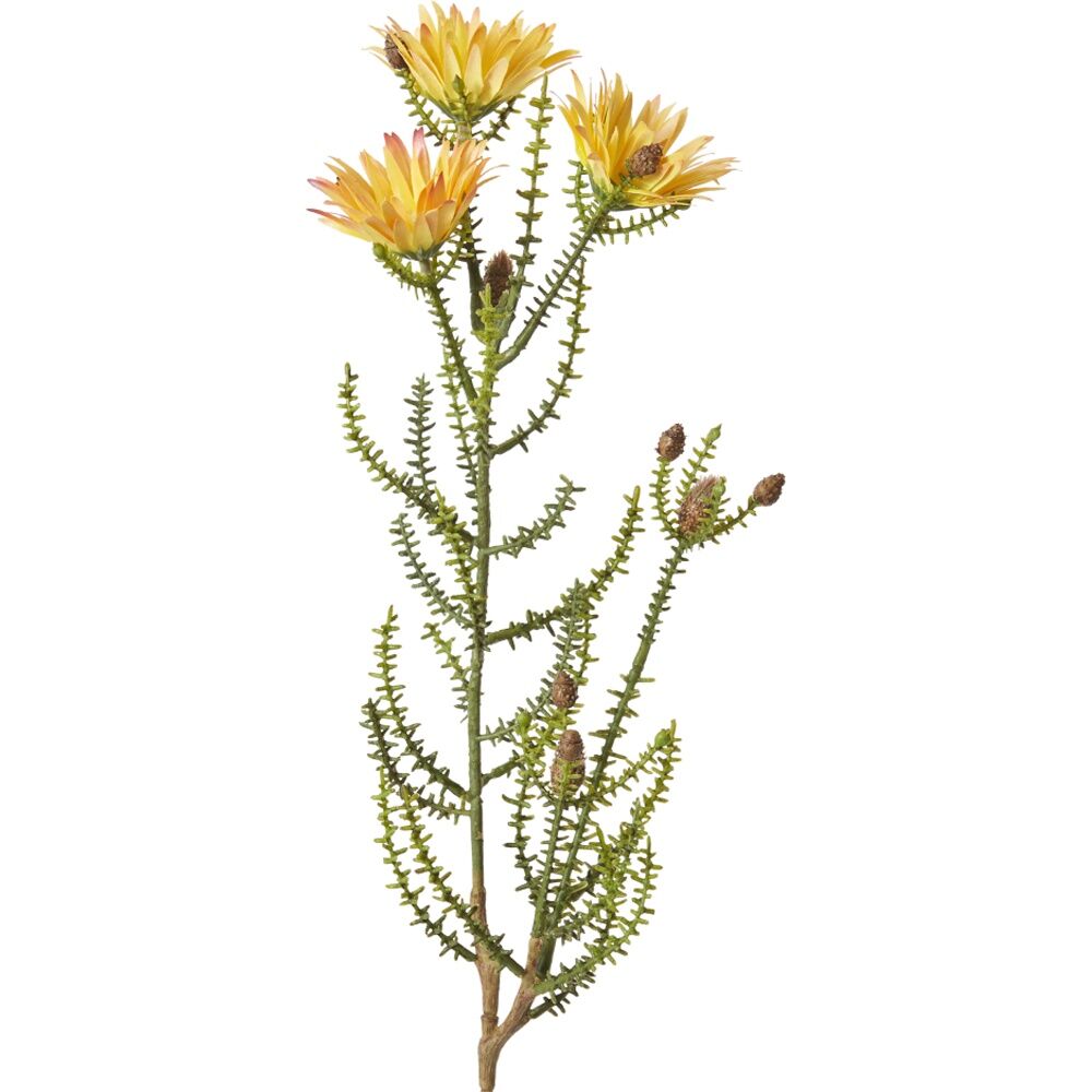 E Style Kaaps Flower Spray Artificial Plant Stem Yellow 12x14x61cm