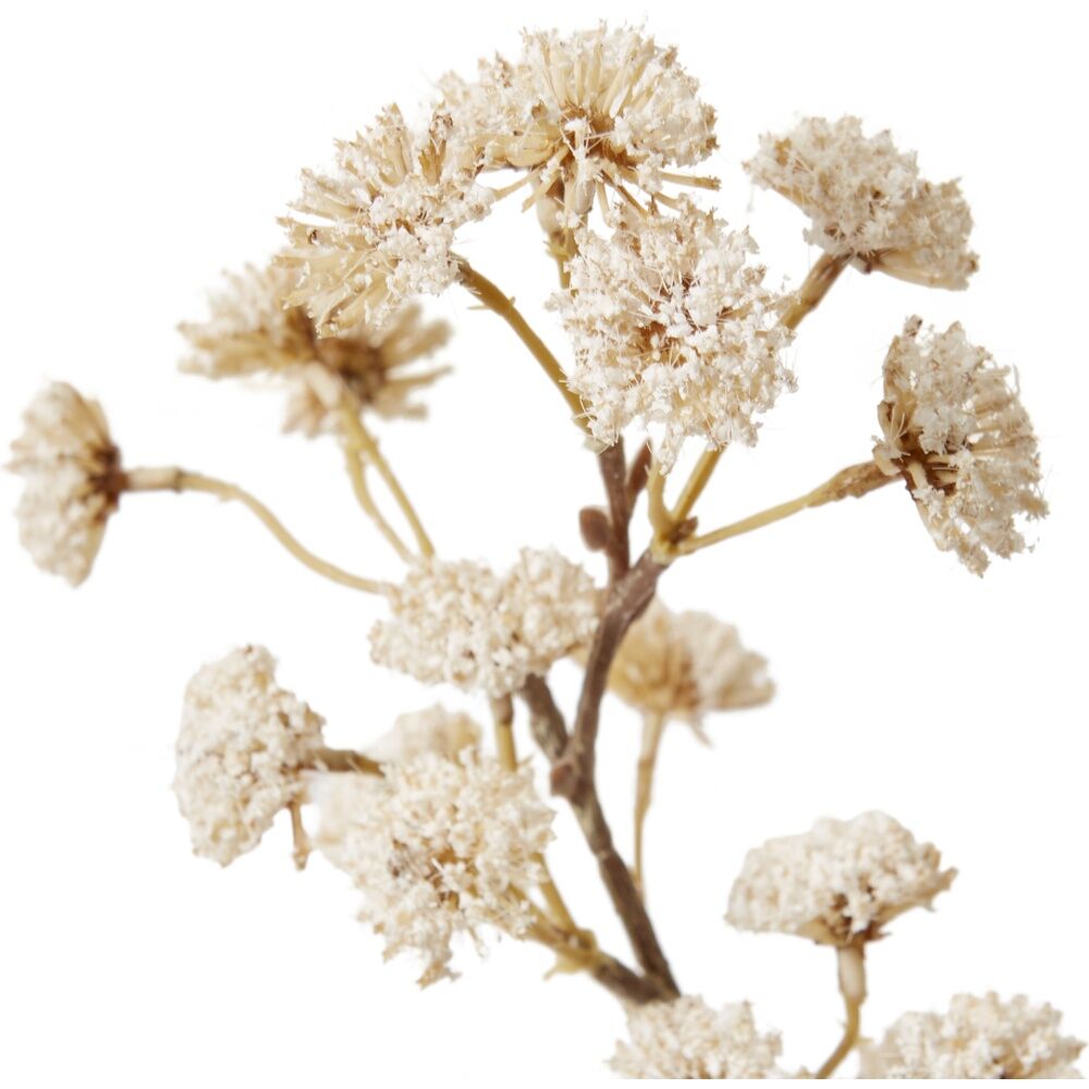 E Style Lace Flower Spray Artificial Plant Stem Decor Cream 28x24x91cm
