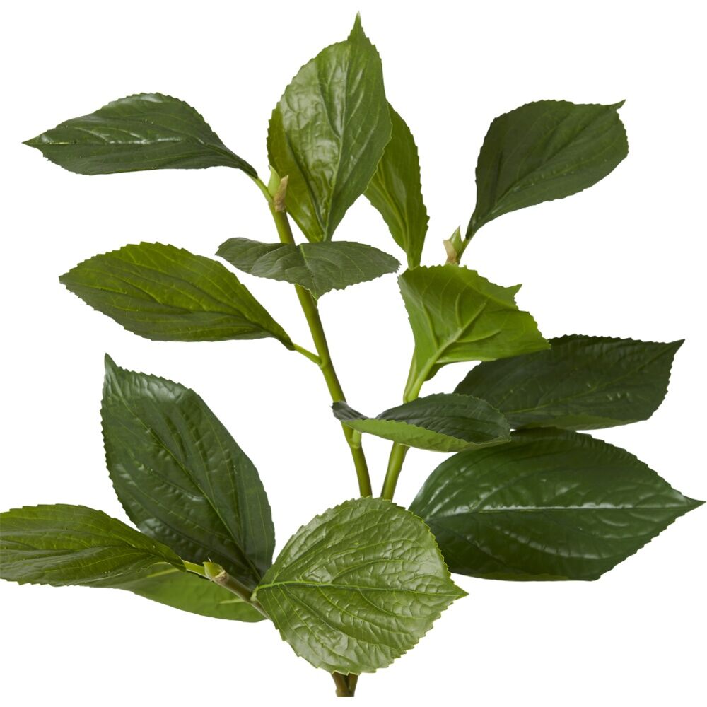 E Style Hydrangea Leaf Spray Realistic Artificial Flower Green 30x30x81cm