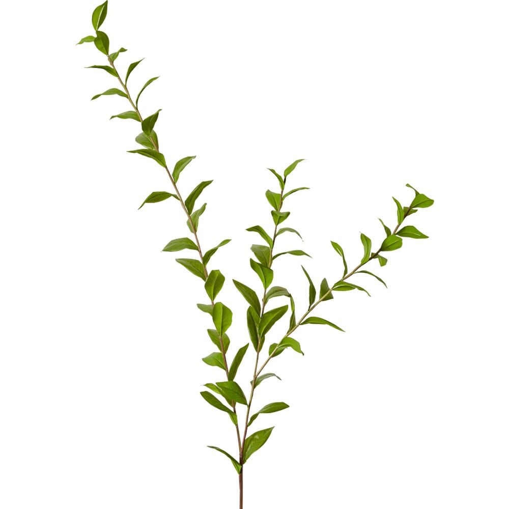 E Style Laurel Leaf Spray Realistic Artificial Flower Plastic Green 140cm