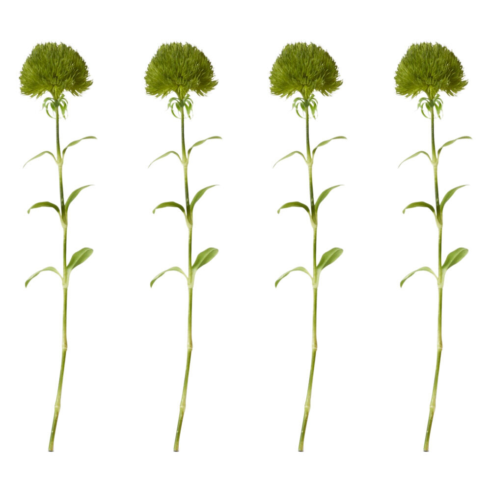 4PK E Style Dianthus Stem Artificial Greenery Plant Decor Green 12x9x51cm