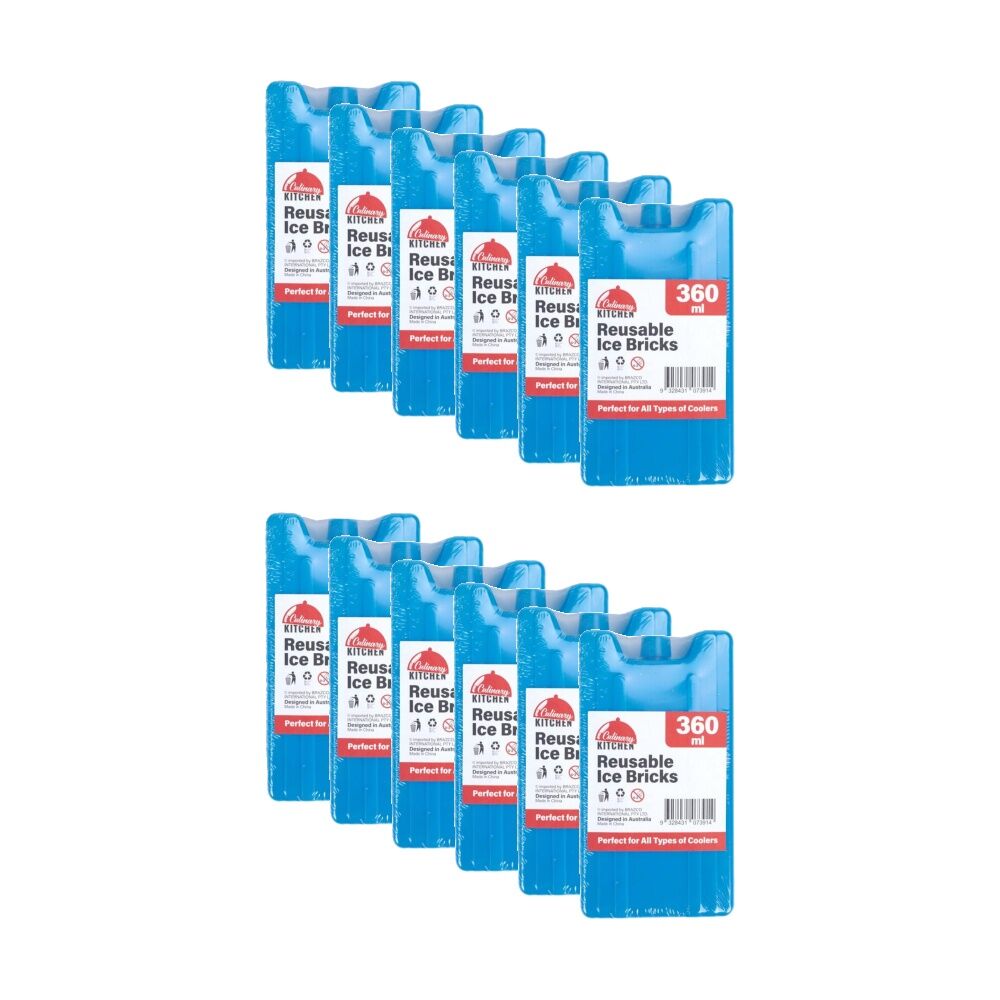 12PK Braz 360ml Reusable Plastic Brick Ice Cooler 16.5x9x3cm Blue