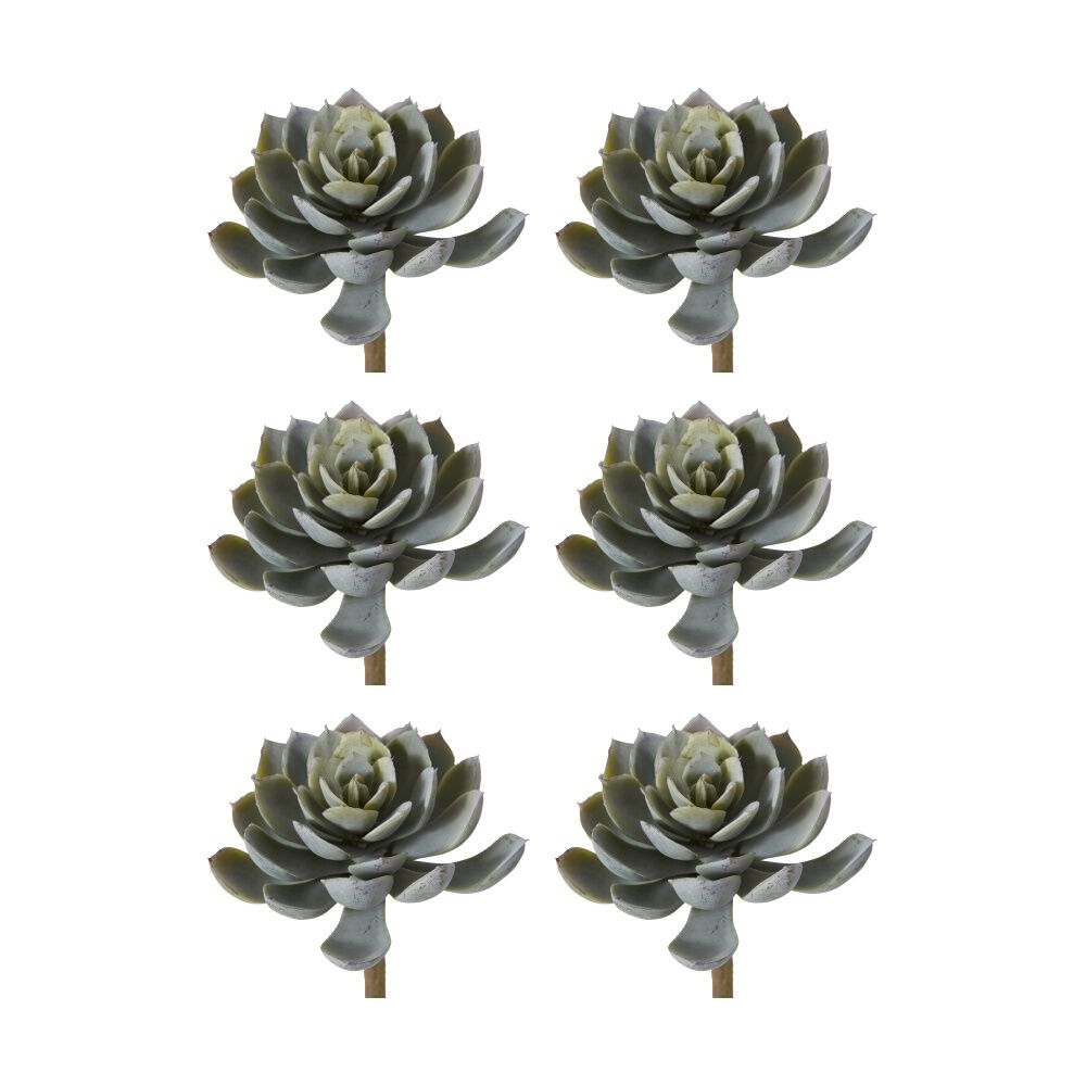 6PK E Style Echeveria Elegant Stem Artificial Succulent Wire Green 10x10x15cm