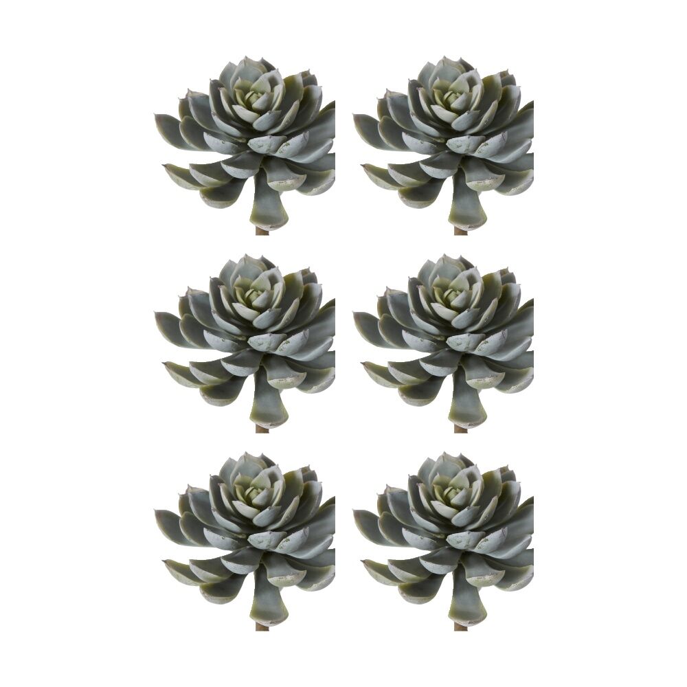 6PK E Style Echeveria Elegant Stem Artificial Succulent Plastic Green 12x12x18cm