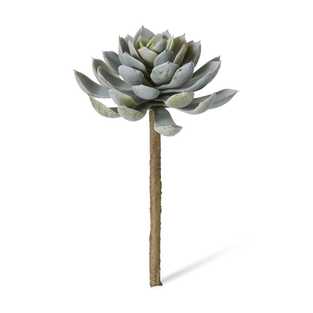 6PK E Style Echeveria Elegant Stem Artificial Succulent Plastic Green 12x12x18cm