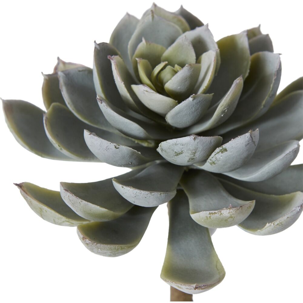 6PK E Style Echeveria Elegant Stem Artificial Succulent Plastic Green 12x12x18cm