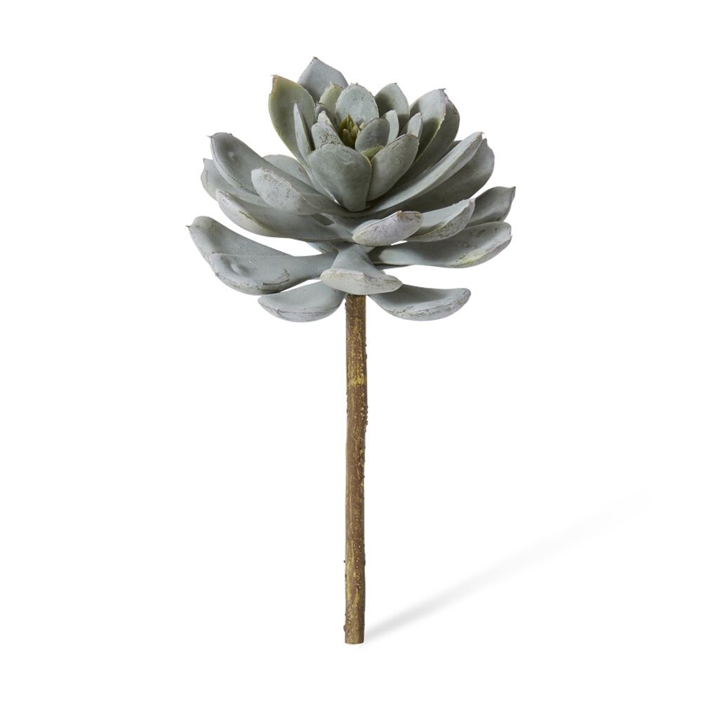2PK E Style Echeveria Elegans Stem Artificial Succulent Wire Green 15x15x23cm
