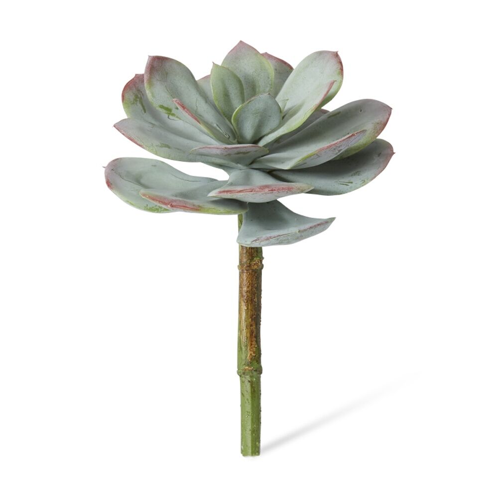 4PK E Style Echeveria Prince Stem Artificial Succulent Plastic Wire Green Red