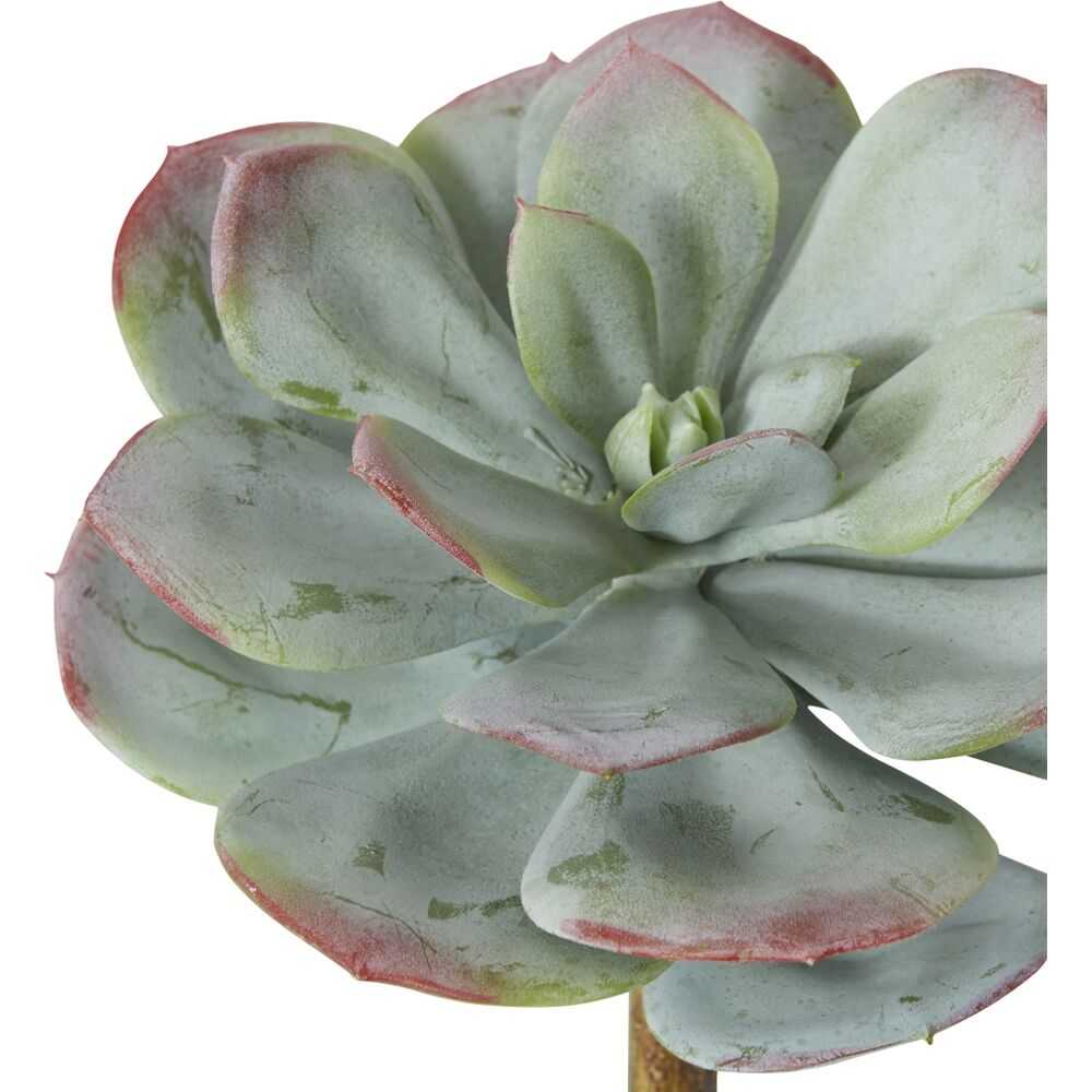 4PK E Style Echeveria Prince Stem Artificial Succulent Plastic Wire Green Red