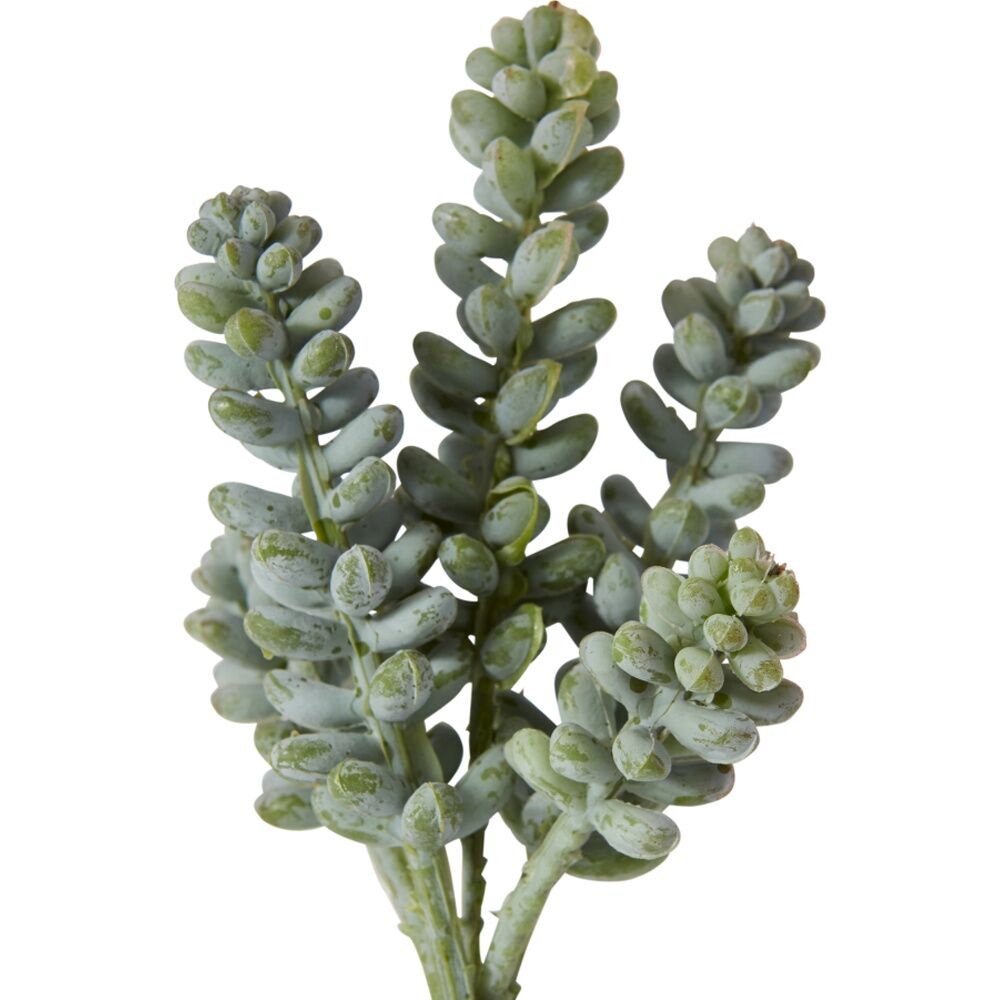 6PK E Style Bell Sedum Pick Artificial Succulent Stem Wire Green Red 7x7x15cm