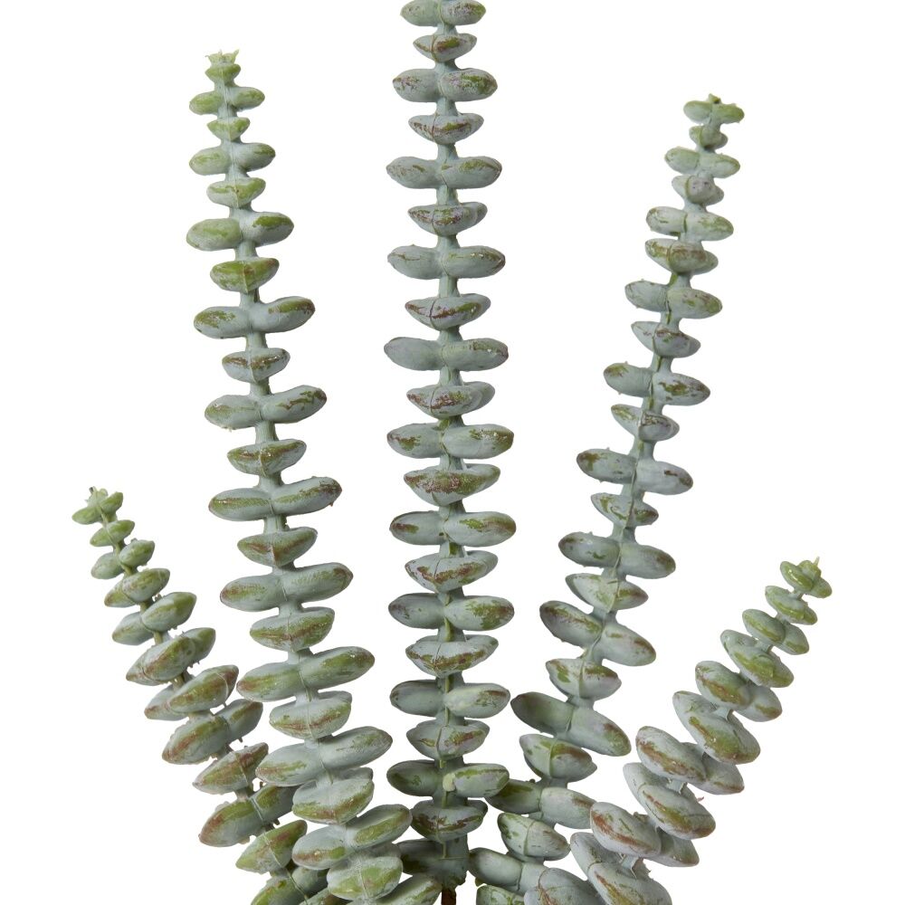 6PK E Style String Of Buttons Sedum Stem Artificial Succulent Plastic Wire Grey