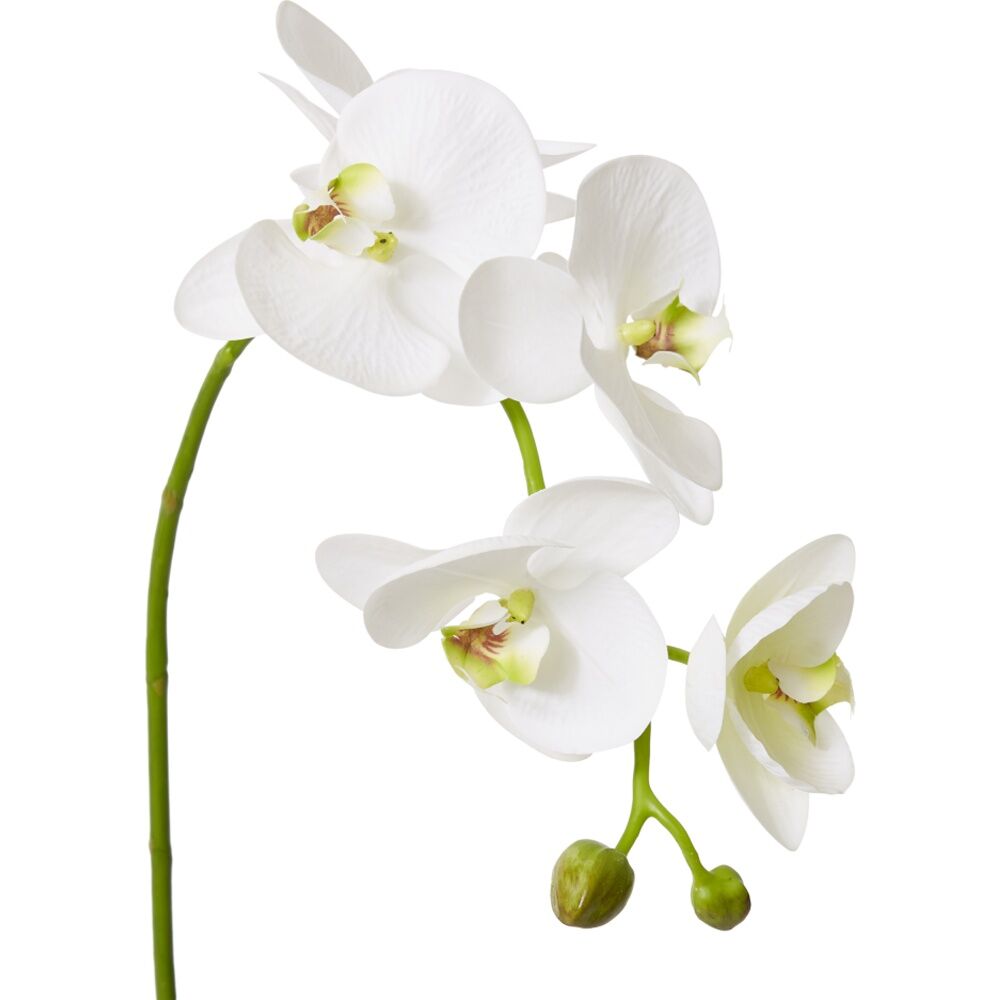 4PK E Style Phalaenopsis Deluxe Plant Artificial Indoor White Green 33x24x75cm
