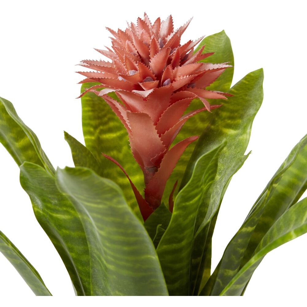 2PK E Style Bromeliad Plant Artificial Fully Assembled Pink Green 30x30x50cm