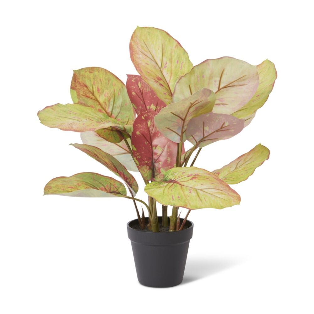 E Style Aglaonema Plant Potted Plastic Fabric Wire Green Red 42x34x46cm