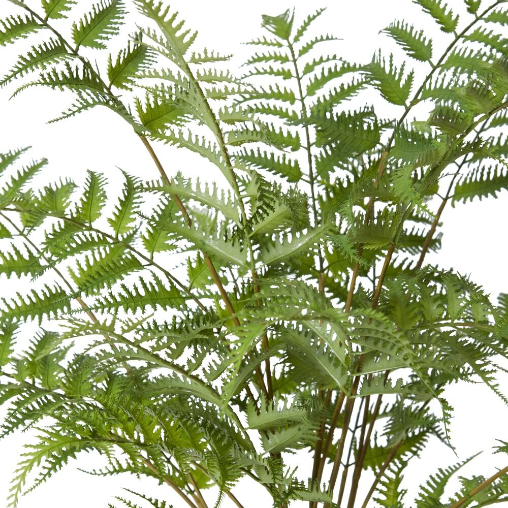 E Style Tree Fern Plant Realistic Plastic Wire Cement Green 60x60x60cm