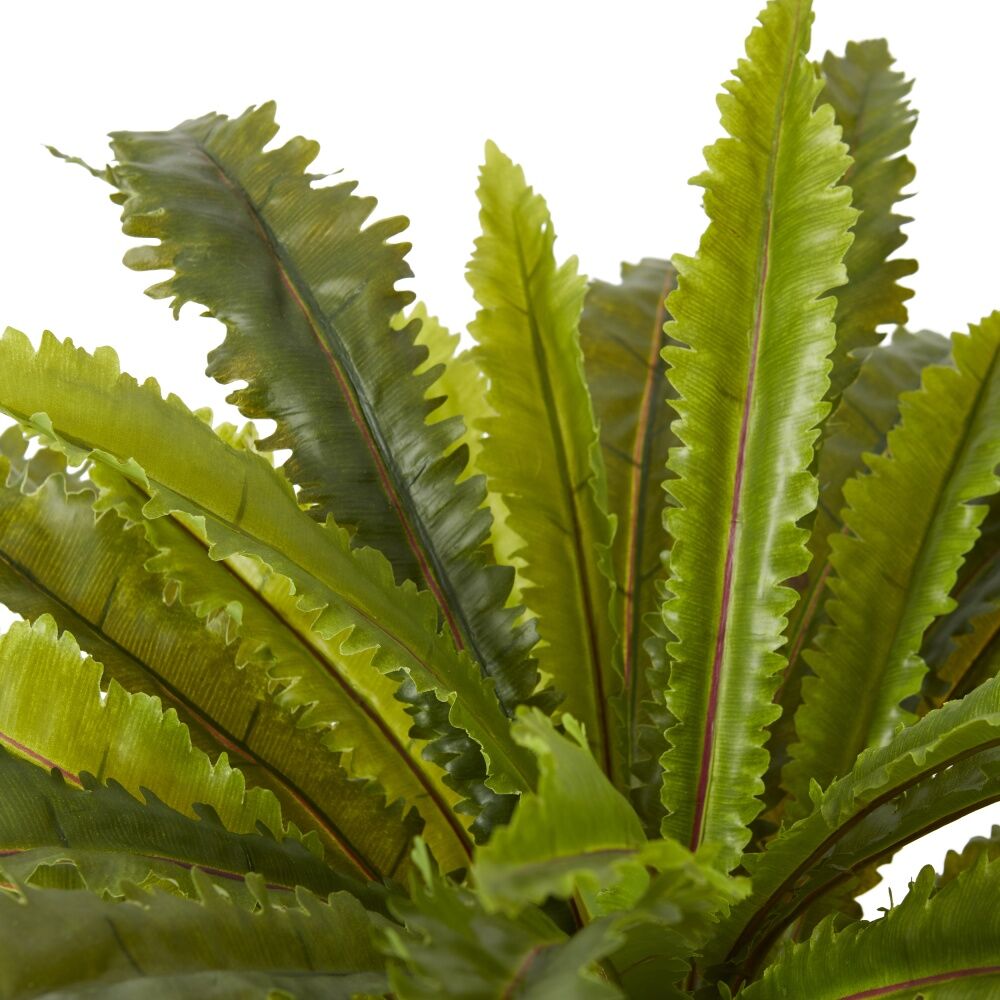 E Style Asplenium Fern Plastic Fabric Wire Cement Pot Green 60x60x60cm