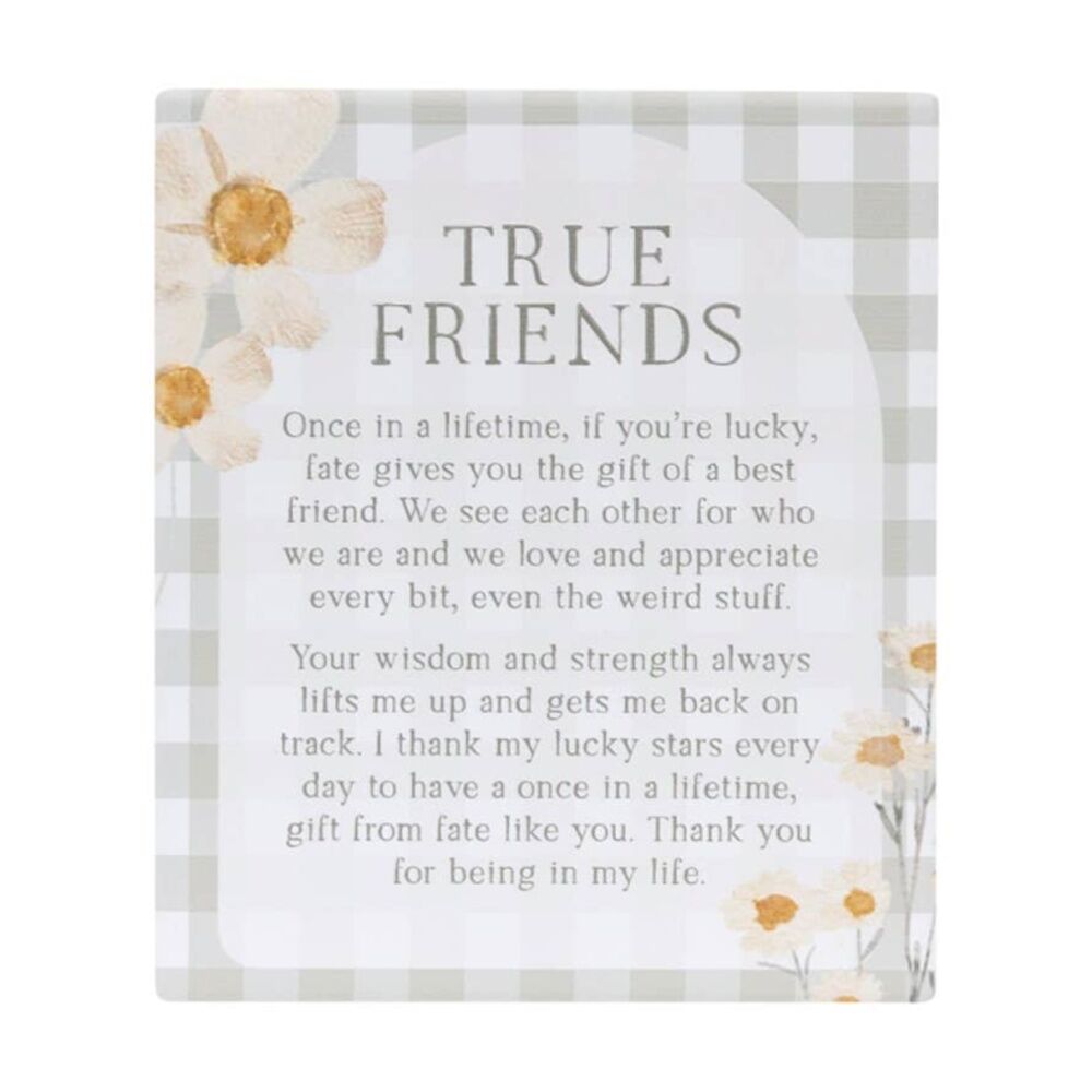 Splosh Rustic Meadow True Friends Verse Ceramic Plaque 12x14 W/ Stand & Hook