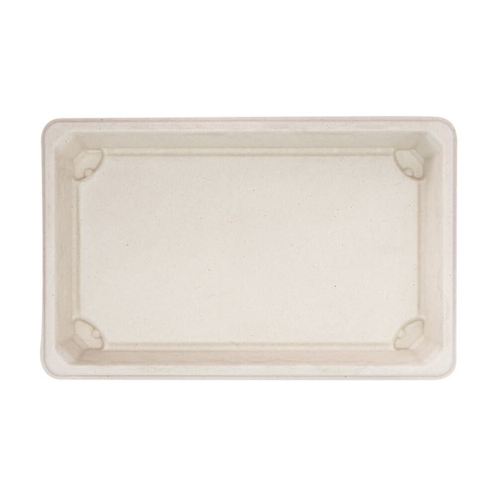 24x 10pc Partyware Earth-Friendly Durable Tray Set 216x136mm Sugar Cane
