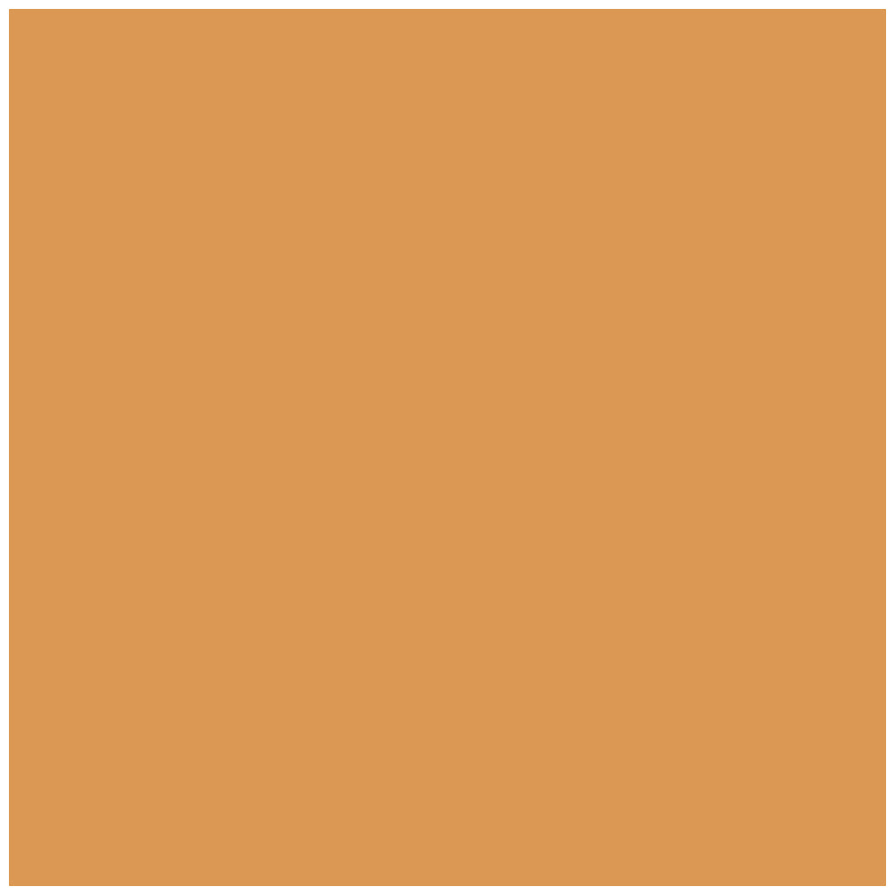 BYS 30ml All Day Wear SPF 20 Liquid Foundation Face Makeup - Cool Tan