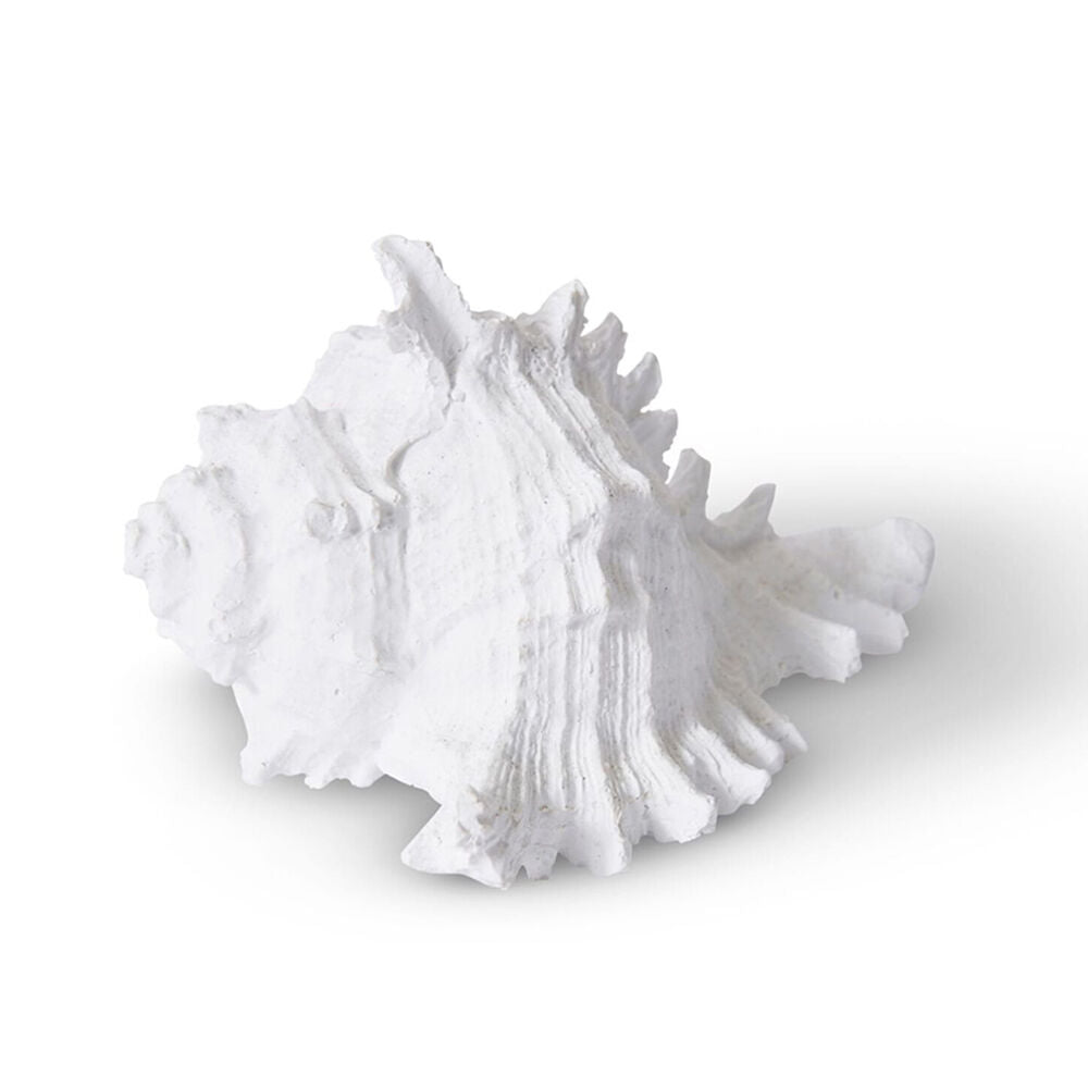 E Style Shell Murex Sculpture Tabletop Home Decor 14cm White