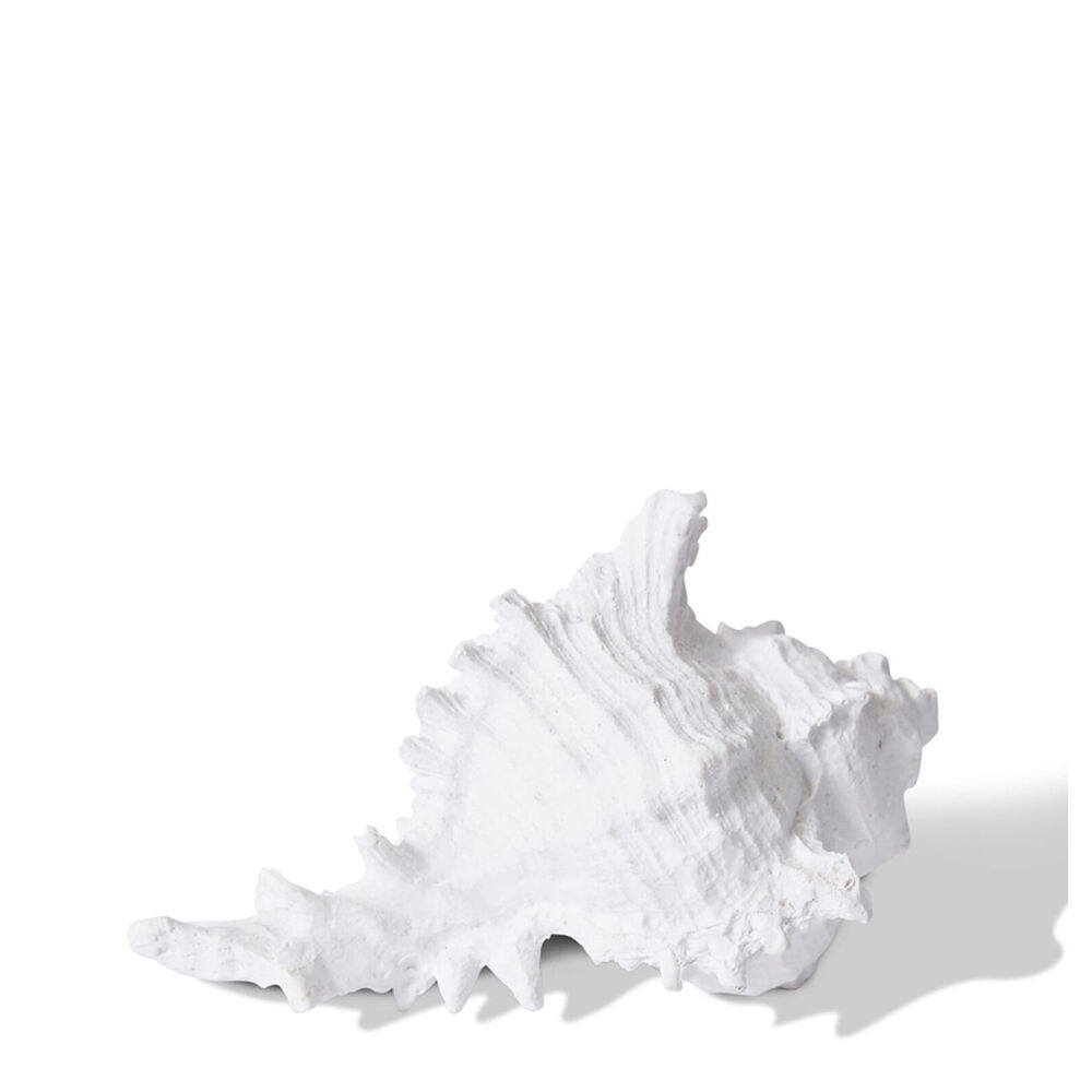 E Style Shell Murex Sculpture Tabletop Home Decor 14cm White