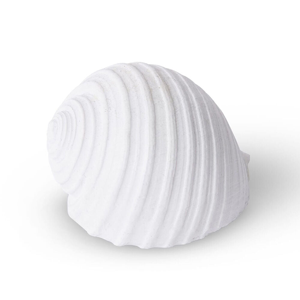 E Style Shell Moon Snail Sculpture Tabletop Home Decor 11cm White