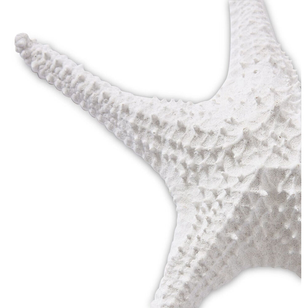 E Style Starfish Bat Star Sculpture Tabletop Home Decor 32cm White