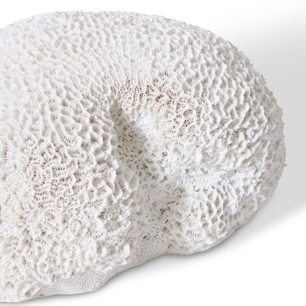 E Style Coral Brain Decorative Display Polyresin 23x19cm - White