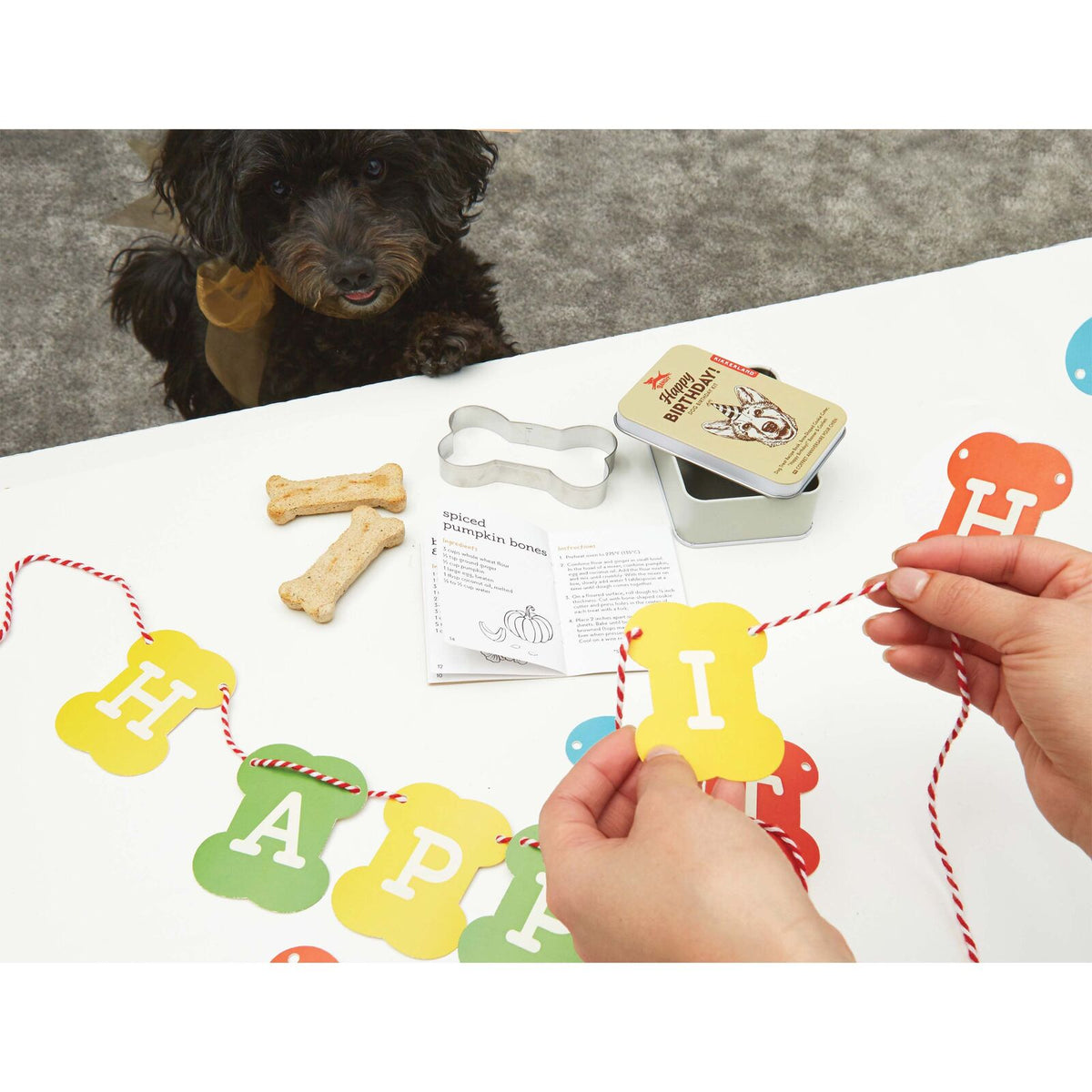 Kikkerland Kobe Dog Birthday Kit