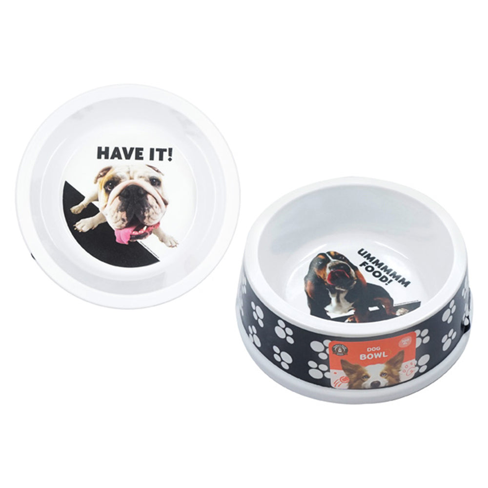 2PK Dudley's World Of Pets Comical Dog Food/Water Bowl Assorted