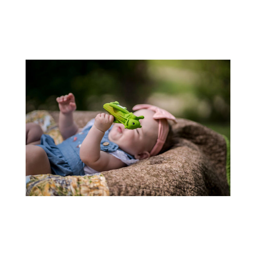 Tikiri Boxed Garden Friend Grasshopper 96503 Baby Toy Green 0m+