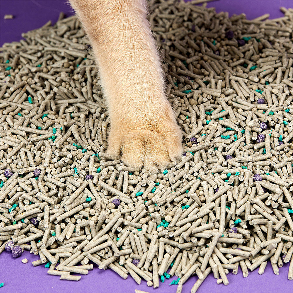 Petkit 5-in-1 Active Carbon 7L Mixed Tofu Cat Litter