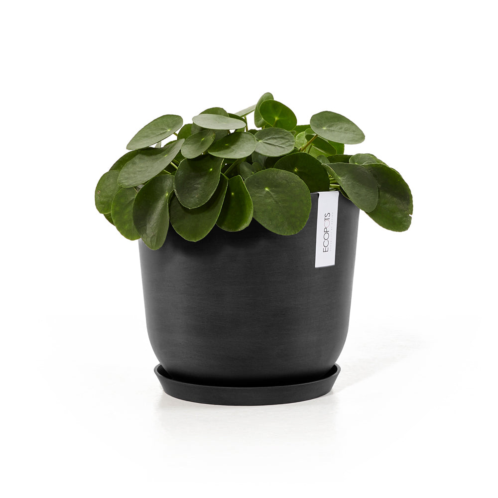 Ecopots Oslo 25cm Home Decor Garden Plant Pot Dark Grey