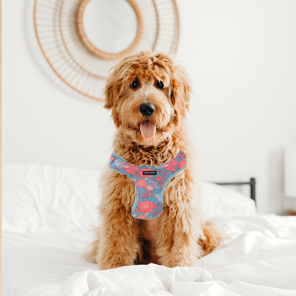 Frank Barker 52-82cm Adjustable Dog Harness L - Floral