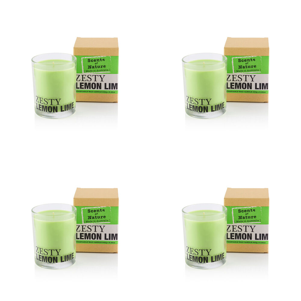 4PK Scents Of Nature Zesty Lemon Lime Soy Candle Scented 240g