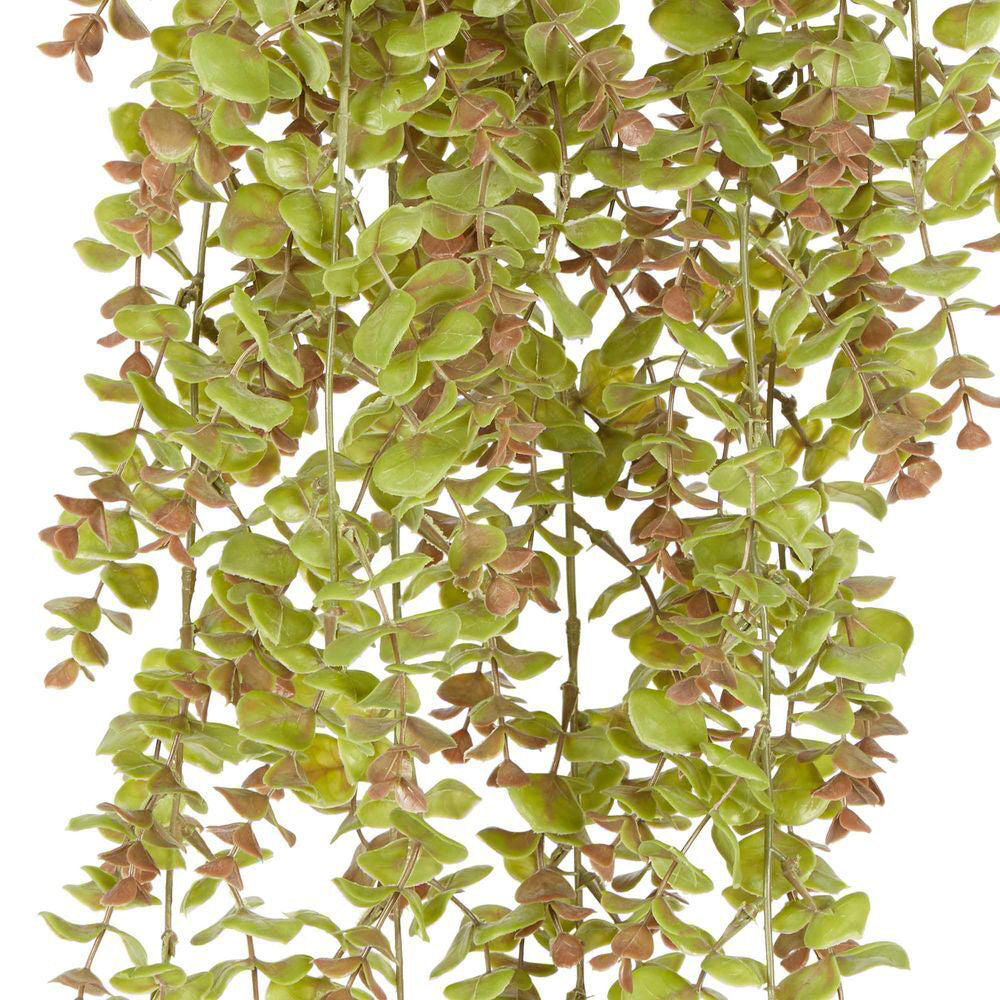 2PK Belle Hanging Eucalyptus Artificial Hanging Foliage Home Decor - Green/Brown