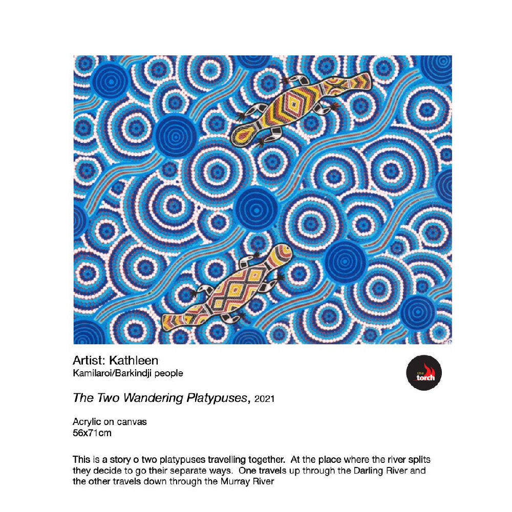 12x 2pc Emotions First Nation Bamboo Absorbent Paper Towels